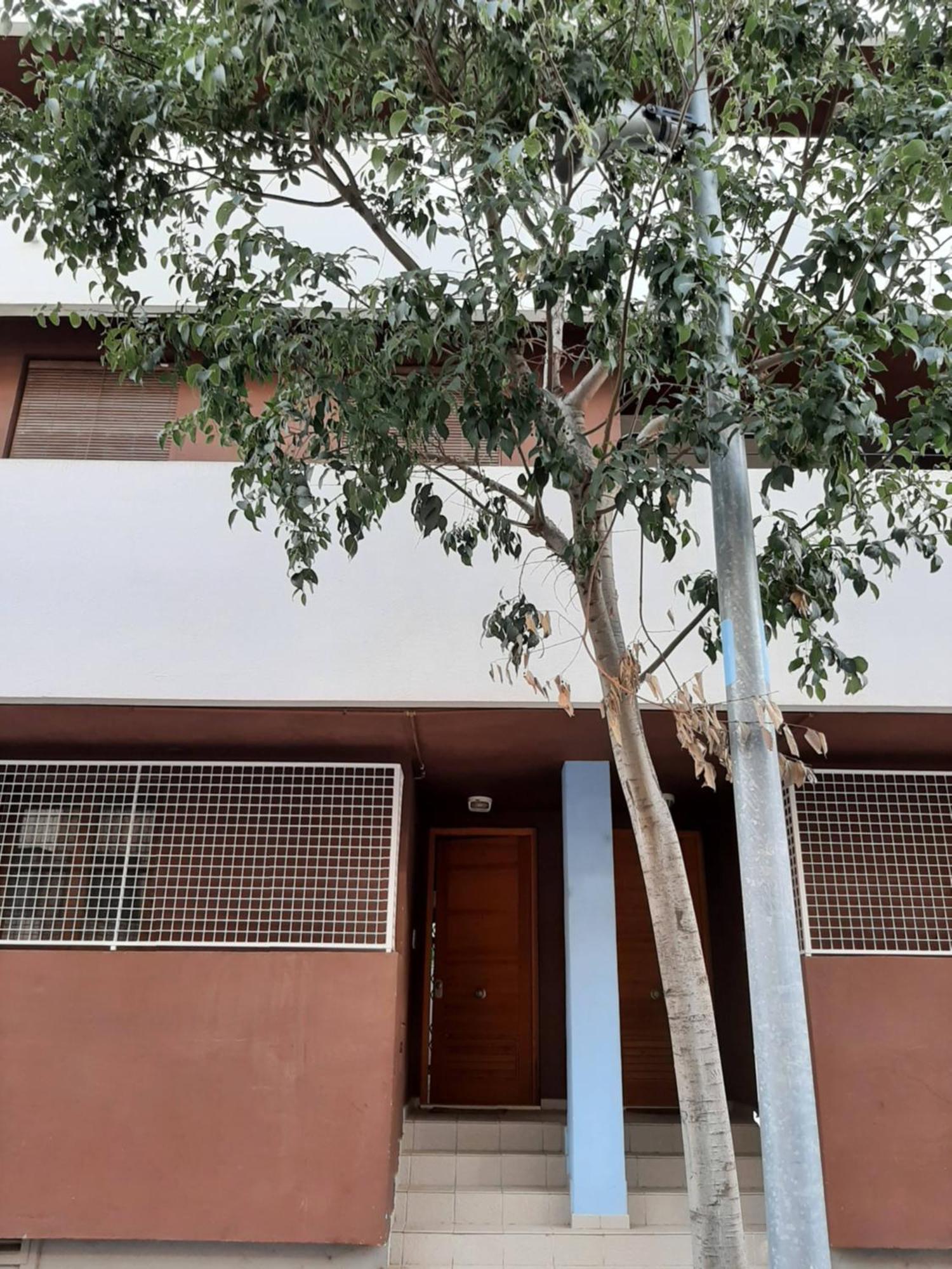 Casa Lliri Con Piscina En Massalfassar Valencia Daire Dış mekan fotoğraf
